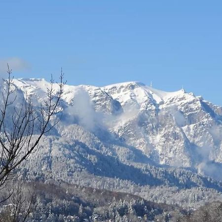 Sinaia Alpineview Residence מראה חיצוני תמונה