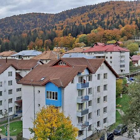 Sinaia Alpineview Residence מראה חיצוני תמונה