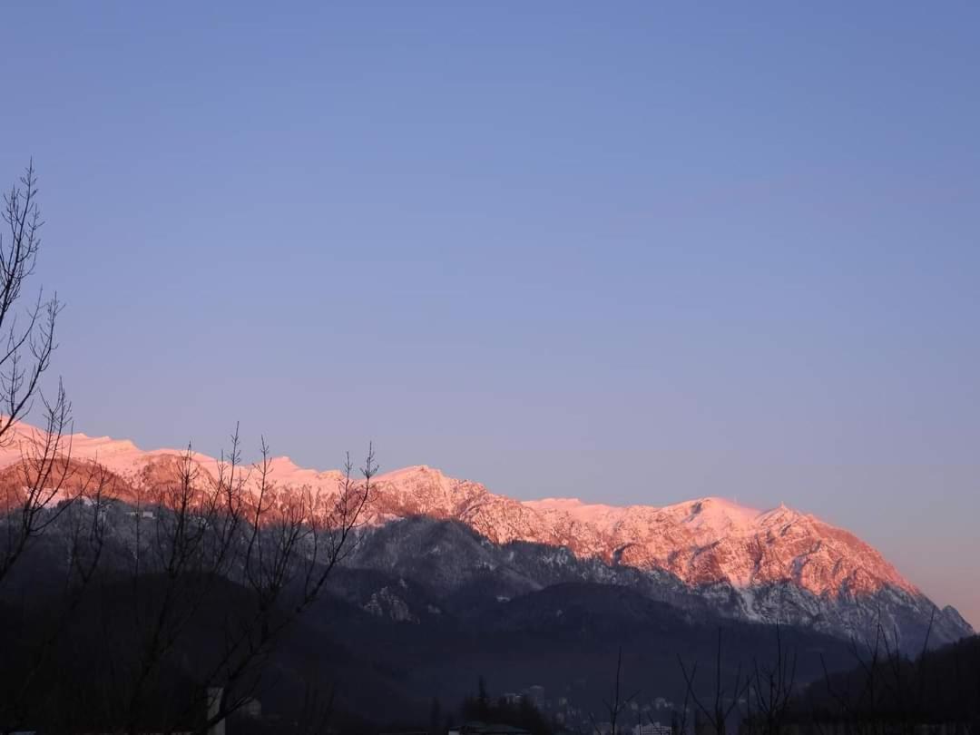 Sinaia Alpineview Residence מראה חיצוני תמונה