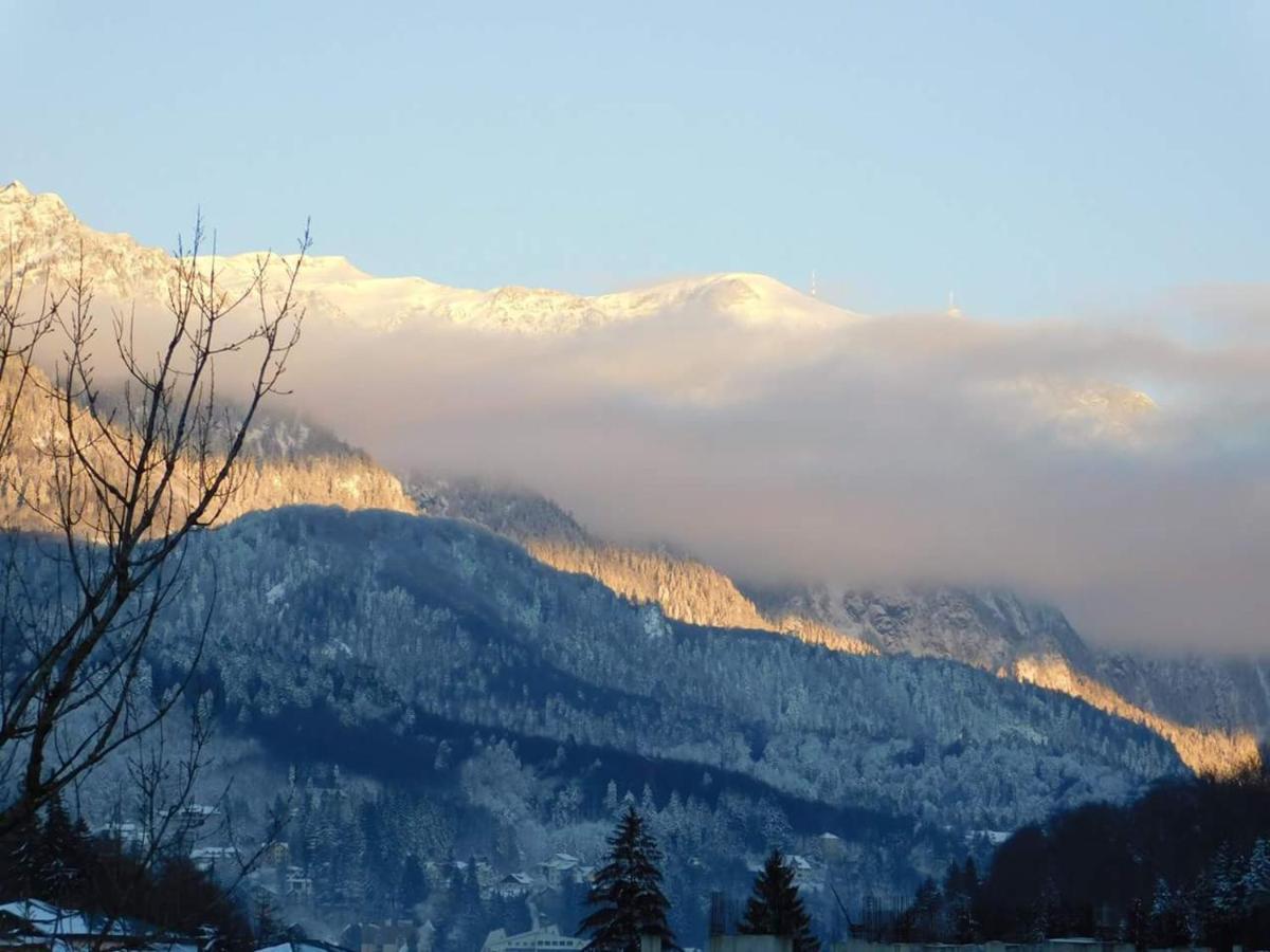Sinaia Alpineview Residence מראה חיצוני תמונה