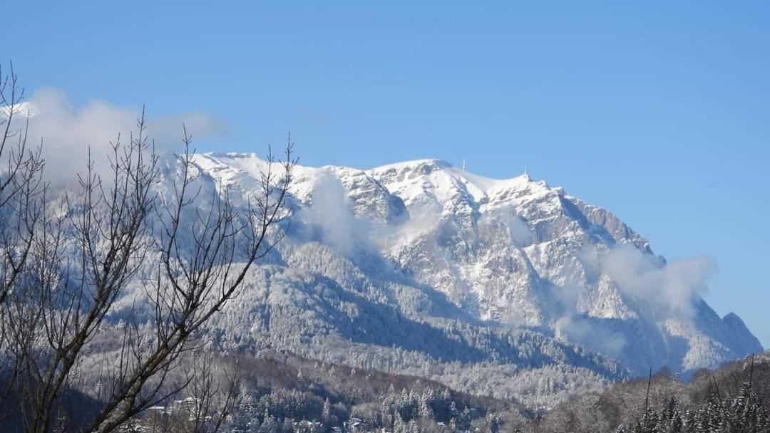 Sinaia Alpineview Residence מראה חיצוני תמונה
