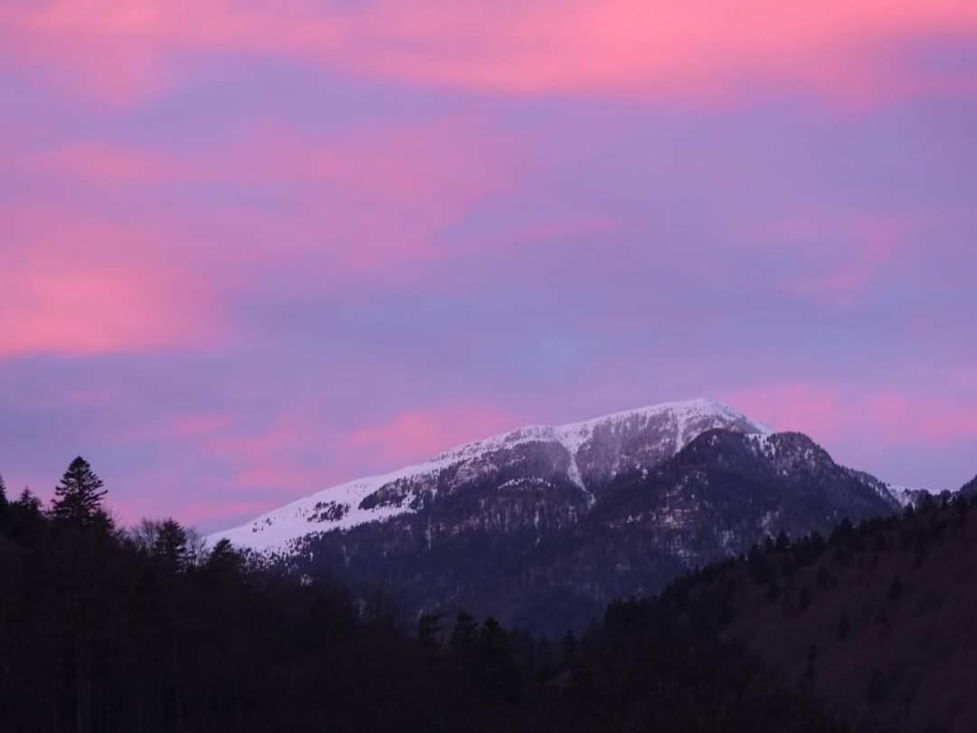 Sinaia Alpineview Residence מראה חיצוני תמונה