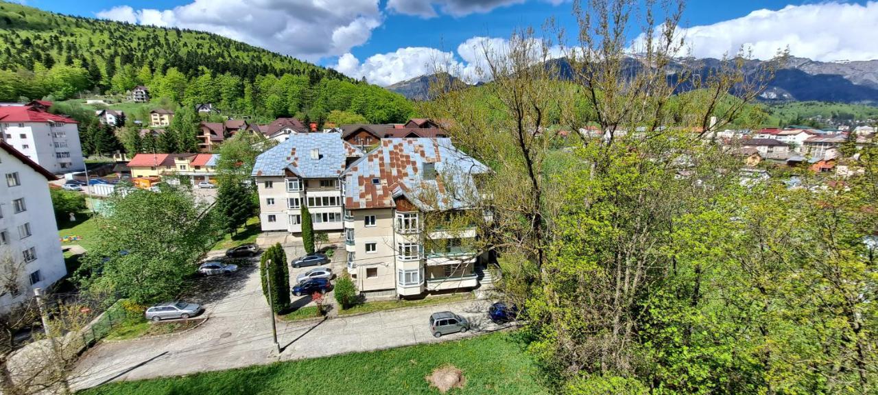 Sinaia Alpineview Residence מראה חיצוני תמונה
