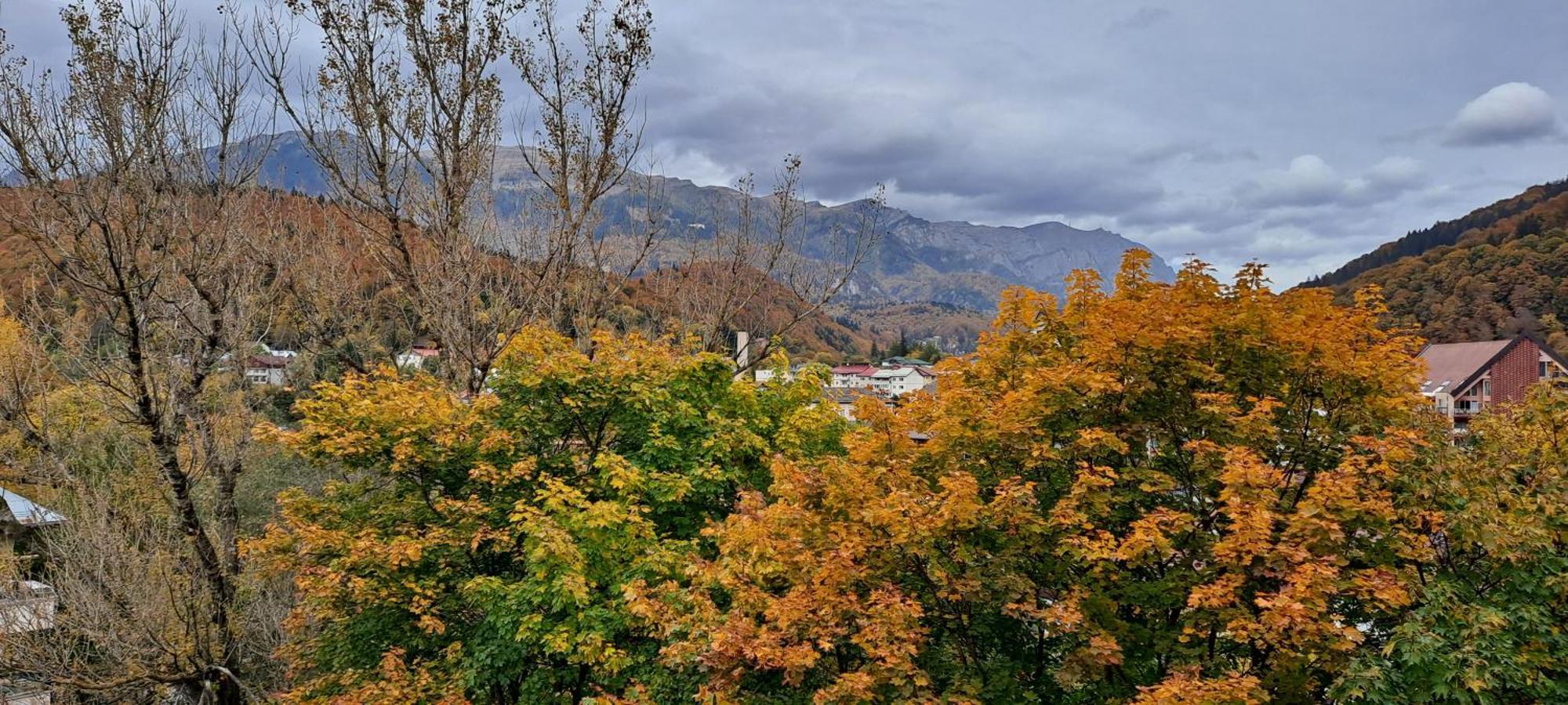 Sinaia Alpineview Residence מראה חיצוני תמונה